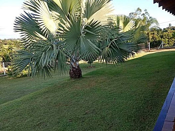 Chácara - Venda - Vila Cristóvam - Limeira - SP